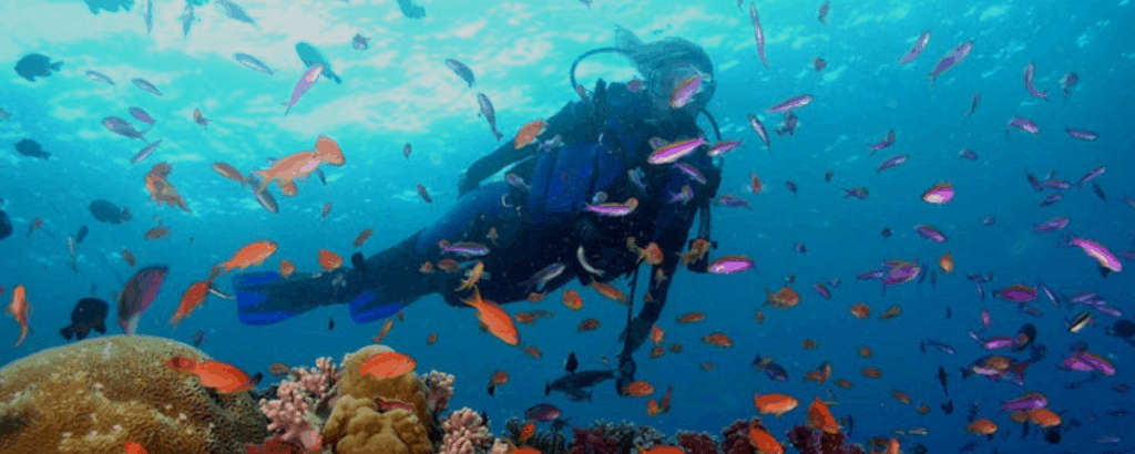 scuba diving in Fiji