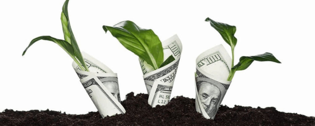 growing-money-2